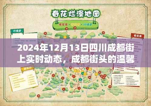 成都街头温馨日常,奇遇与陪伴的暖心瞬间