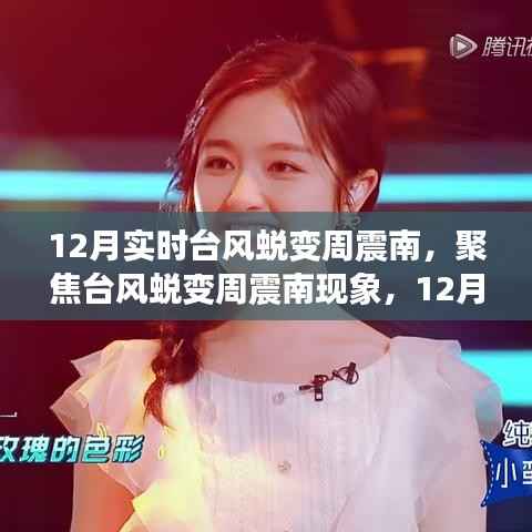 台风蜕变周震南现象,12月实时观察下的多元解读与反思