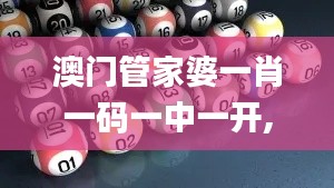 澳门管家婆一肖一码一中一开,迅捷处理问题解答_Advanced9.717