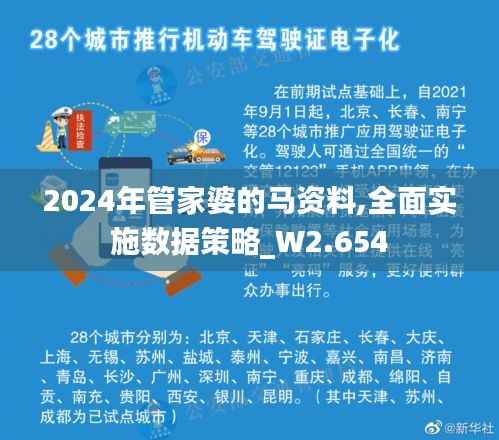 2024年管家婆的马资料,全面实施数据策略_W2.654