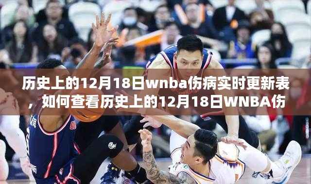 历史上的12月18日WNBA伤病实时更新表详解,查看指南与步骤梳理