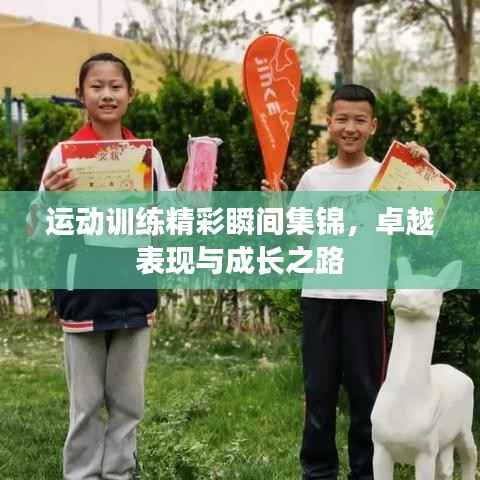 运动训练精彩瞬间集锦,卓越表现与成长之路