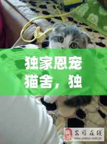 定谋贵决 第3页