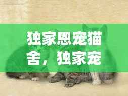 独家恩宠猫舍,独家宠爱是什么意思