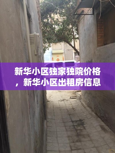 箭拔弩张 第4页