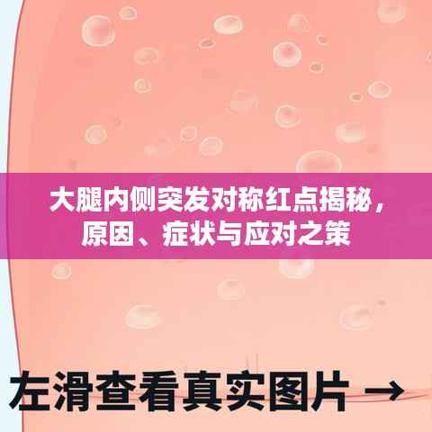 吉光片羽