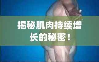 揭秘肌肉持续增长的秘密!