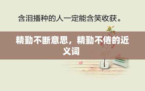 精勤不断意思,精勤不倦的近义词