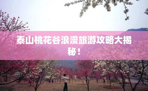 泰山桃花谷浪漫旅游攻略大揭秘!
