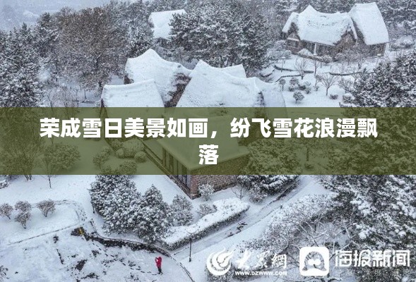 荣成雪日美景如画,纷飞雪花浪漫飘落