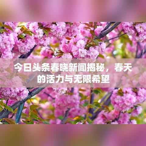 鸟集鳞萃