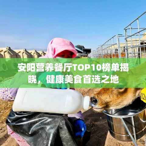 安阳营养餐厅TOP10榜单揭晓,健康美食首选之地
