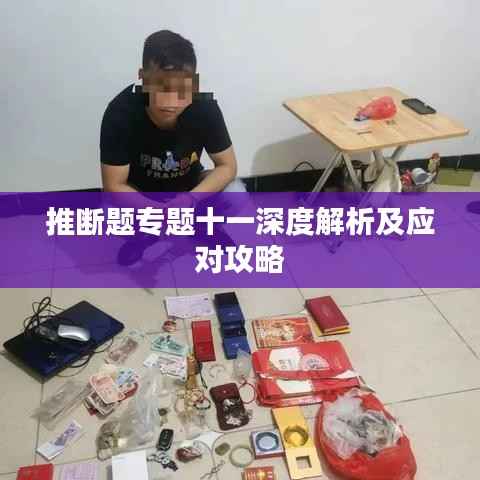 推断题专题十一深度解析及应对攻略