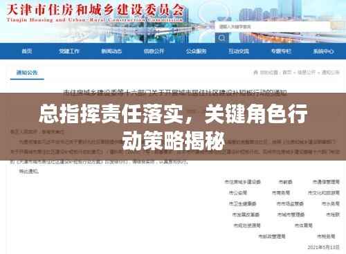 总指挥责任落实,关键角色行动策略揭秘