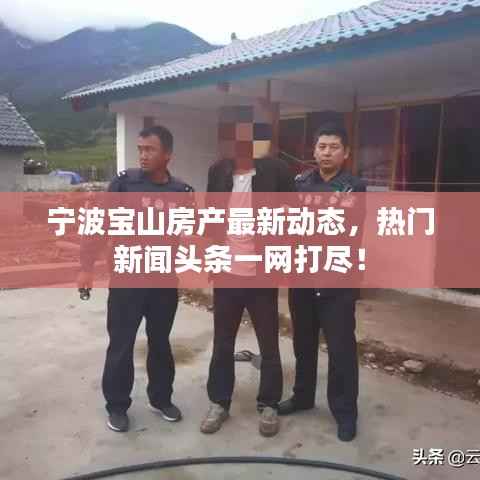 宁波宝山房产最新动态,热门新闻头条一网打尽!