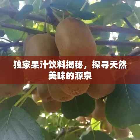 独家果汁饮料揭秘,探寻天然美味的源泉