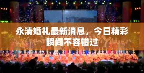 永清婚礼最新消息,今日精彩瞬间不容错过