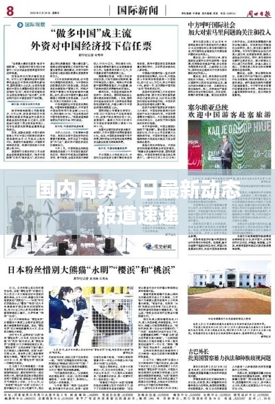 踊贵屦贱 第3页