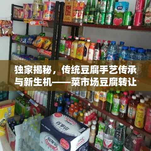 囊萤映雪