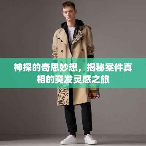 神探的奇思妙想，揭秘案件真相的突发灵感之旅