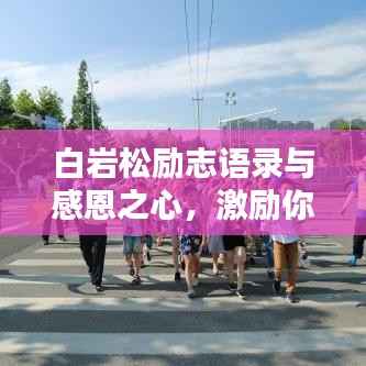 白岩松励志语录与感恩之心,激励你前行的力量之源